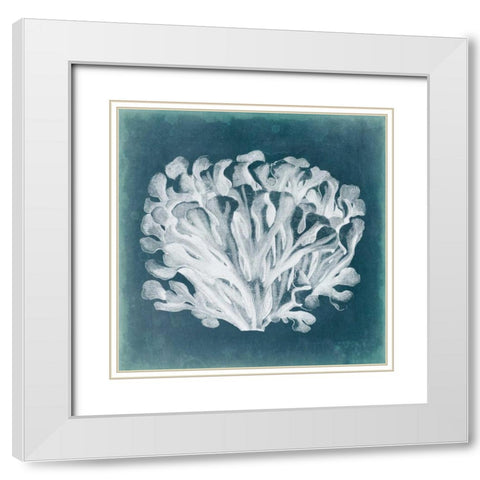 Azure Coral III White Modern Wood Framed Art Print with Double Matting by Vision Studio