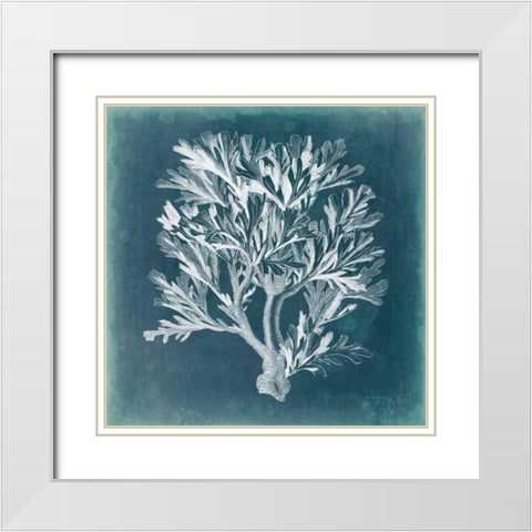 Azure Coral IV White Modern Wood Framed Art Print with Double Matting by Vision Studio