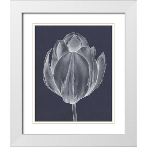 Monochrome Tulip I White Modern Wood Framed Art Print with Double Matting by Goldberger, Jennifer