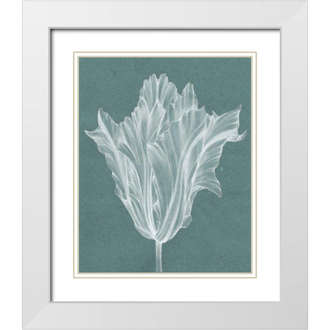 Monochrome Tulip V White Modern Wood Framed Art Print with Double Matting by Goldberger, Jennifer