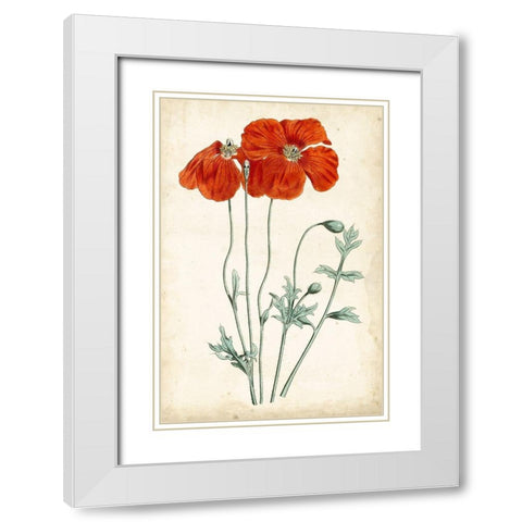 Tangerine Floral V White Modern Wood Framed Art Print with Double Matting by Curtis
