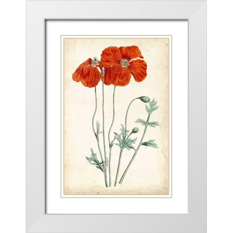 Tangerine Floral V White Modern Wood Framed Art Print with Double Matting by Curtis