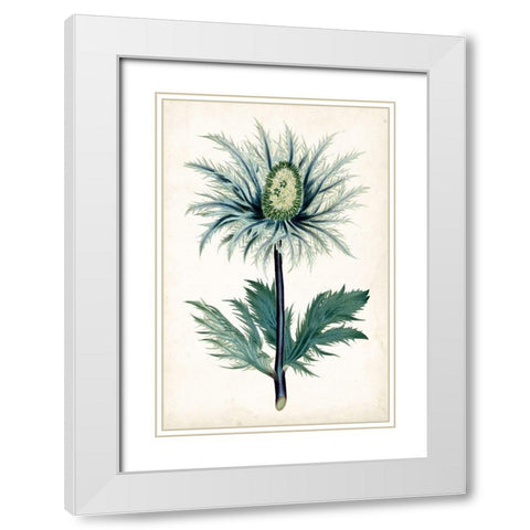 Curtis Blues I White Modern Wood Framed Art Print with Double Matting by Curtis