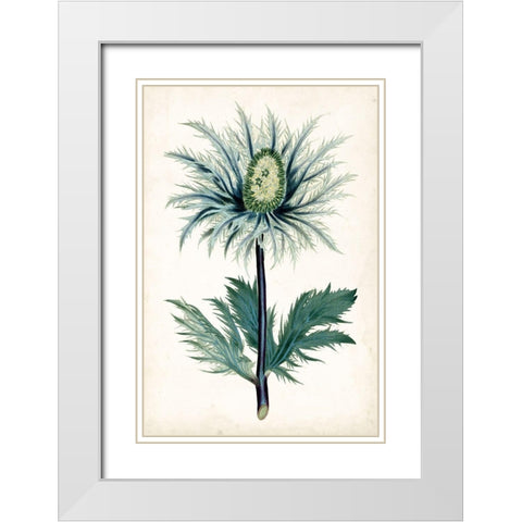 Curtis Blues I White Modern Wood Framed Art Print with Double Matting by Curtis