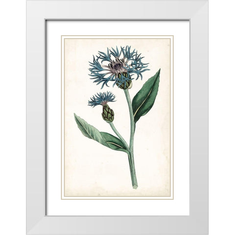Curtis Blues II White Modern Wood Framed Art Print with Double Matting by Curtis