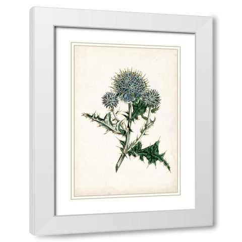 Curtis Blues III White Modern Wood Framed Art Print with Double Matting by Curtis