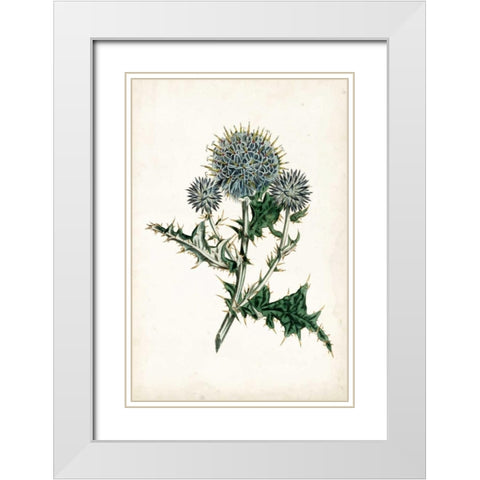 Curtis Blues III White Modern Wood Framed Art Print with Double Matting by Curtis