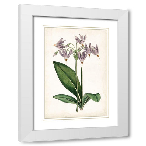 Lavender Florals III White Modern Wood Framed Art Print with Double Matting by Curtis