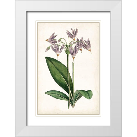 Lavender Florals III White Modern Wood Framed Art Print with Double Matting by Curtis