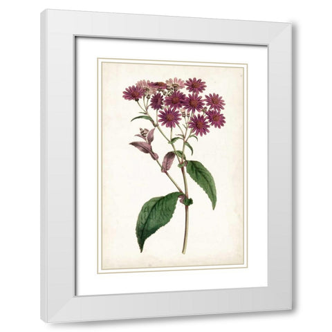 Lavender Florals IV White Modern Wood Framed Art Print with Double Matting by Curtis