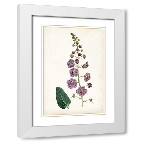 Lavender Florals VI White Modern Wood Framed Art Print with Double Matting by Curtis