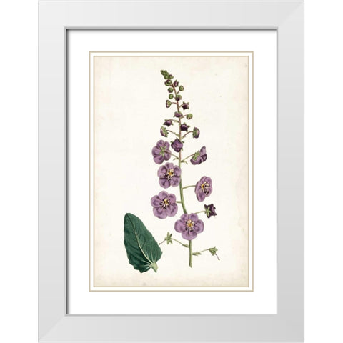 Lavender Florals VI White Modern Wood Framed Art Print with Double Matting by Curtis