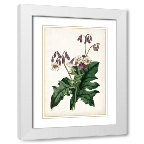 Lavender Florals VII White Modern Wood Framed Art Print with Double Matting by Curtis