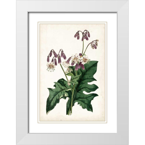Lavender Florals VII White Modern Wood Framed Art Print with Double Matting by Curtis