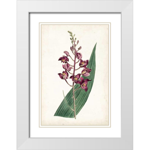 Lavender Florals VIII White Modern Wood Framed Art Print with Double Matting by Curtis