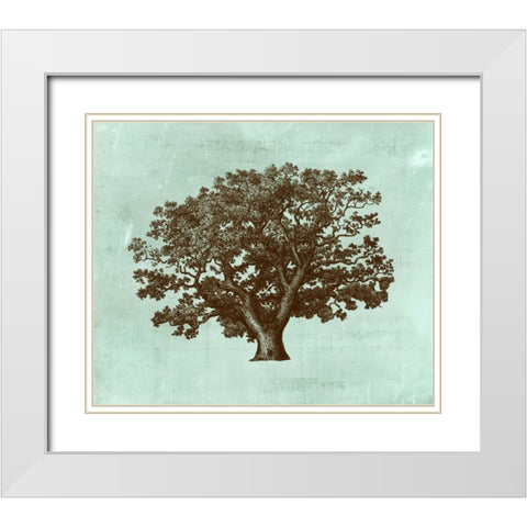 Spa Tree IV White Modern Wood Framed Art Print with Double Matting by Vision Studio