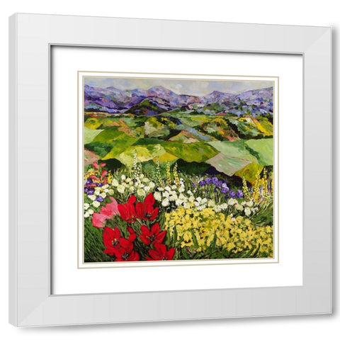 High Mountain Patch White Modern Wood Framed Art Print with Double Matting by Friedlander, Allan