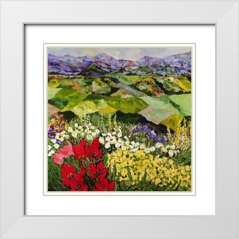 High Mountain Patch White Modern Wood Framed Art Print with Double Matting by Friedlander, Allan