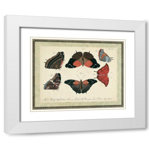 Bookplate Butterflies Trio II White Modern Wood Framed Art Print with Double Matting by Vision Studio