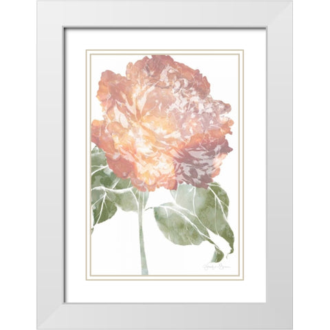 Watercolor Bloom I White Modern Wood Framed Art Print with Double Matting by Goldberger, Jennifer
