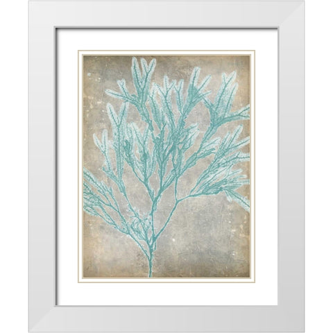 Spa Seaweed I White Modern Wood Framed Art Print with Double Matting by Goldberger, Jennifer