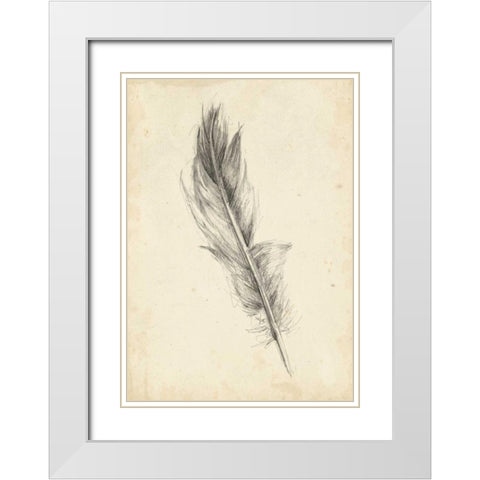 Feather Sketch IV White Modern Wood Framed Art Print with Double Matting by Harper, Ethan