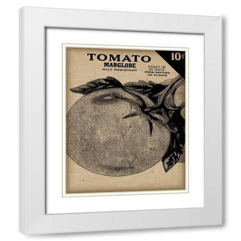 Vintage Seed Pack V White Modern Wood Framed Art Print with Double Matting by Vision Studio