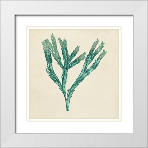 Chromatic Seaweed III White Modern Wood Framed Art Print with Double Matting by Vision Studio