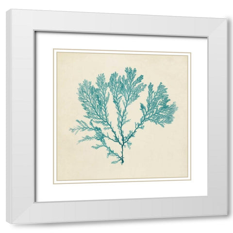 Chromatic Seaweed VIII White Modern Wood Framed Art Print with Double Matting by Vision Studio