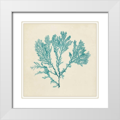 Chromatic Seaweed VIII White Modern Wood Framed Art Print with Double Matting by Vision Studio