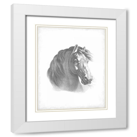 Equestrian Blueprint II White Modern Wood Framed Art Print with Double Matting by Vision Studio