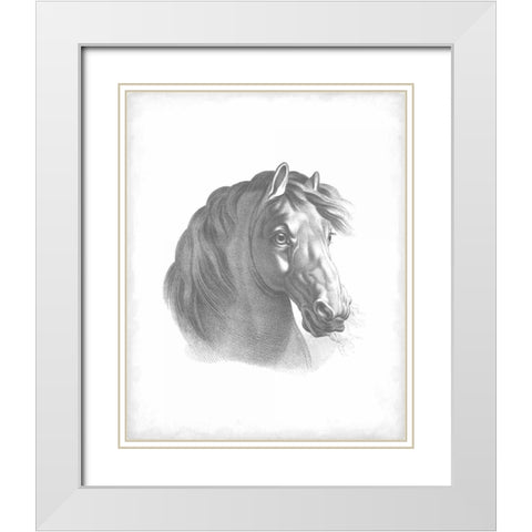 Equestrian Blueprint II White Modern Wood Framed Art Print with Double Matting by Vision Studio
