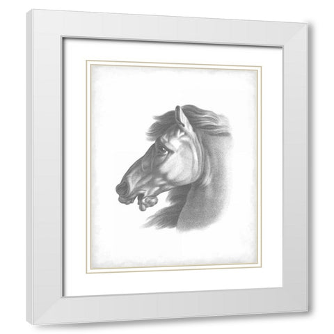 Equestrian Blueprint III White Modern Wood Framed Art Print with Double Matting by Vision Studio