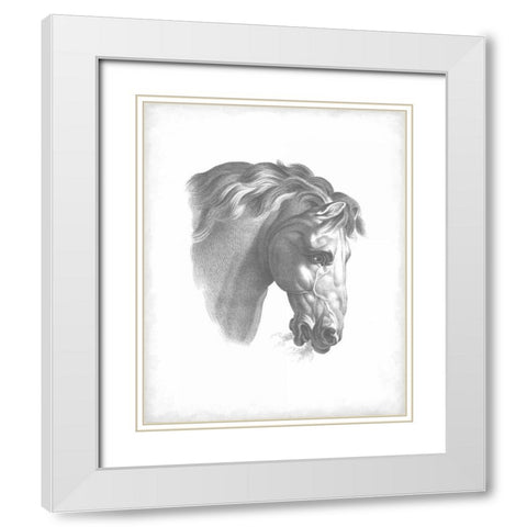 Equestrian Blueprint IV White Modern Wood Framed Art Print with Double Matting by Vision Studio