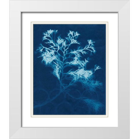 Cyanotype No.4 White Modern Wood Framed Art Print with Double Matting by Stramel, Renee W.