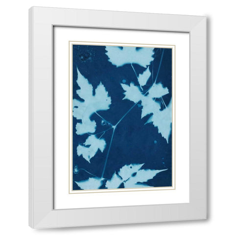 Cyanotype No.9 White Modern Wood Framed Art Print with Double Matting by Stramel, Renee W.