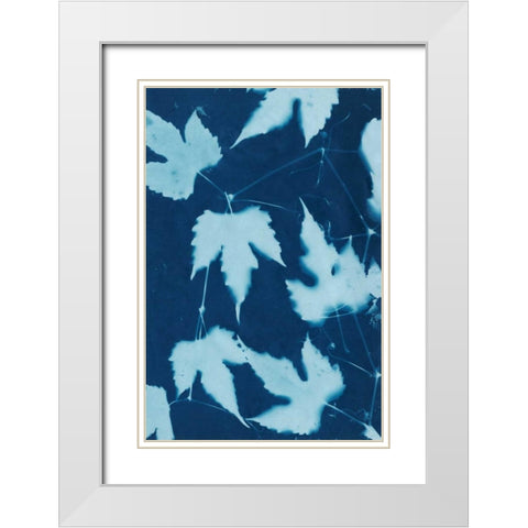 Cyanotype No.10 White Modern Wood Framed Art Print with Double Matting by Stramel, Renee W.