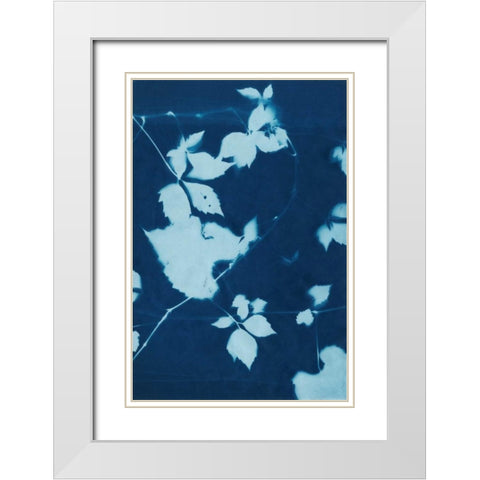 Cyanotype No.11 White Modern Wood Framed Art Print with Double Matting by Zarris, Chariklia