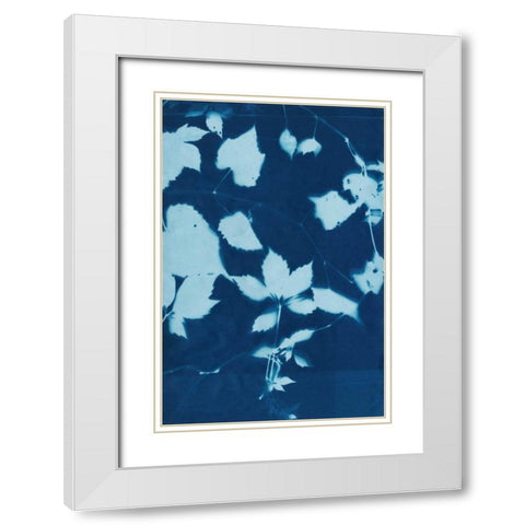 Cyanotype No.12 White Modern Wood Framed Art Print with Double Matting by Zarris, Chariklia