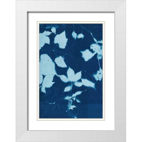 Cyanotype No.12 White Modern Wood Framed Art Print with Double Matting by Zarris, Chariklia