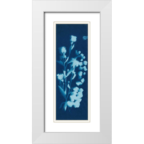 Cyanotype No.14 White Modern Wood Framed Art Print with Double Matting by Guthrie, Jenna