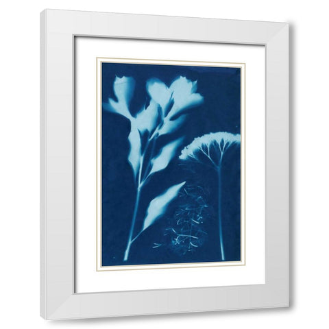 Cyanotype No.15 White Modern Wood Framed Art Print with Double Matting by Guthrie, Jenna