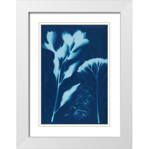 Cyanotype No.15 White Modern Wood Framed Art Print with Double Matting by Guthrie, Jenna