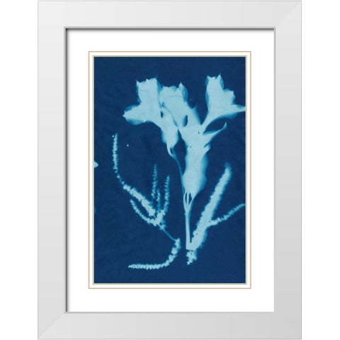 Cyanotype No.17 White Modern Wood Framed Art Print with Double Matting by Guthrie, Jenna