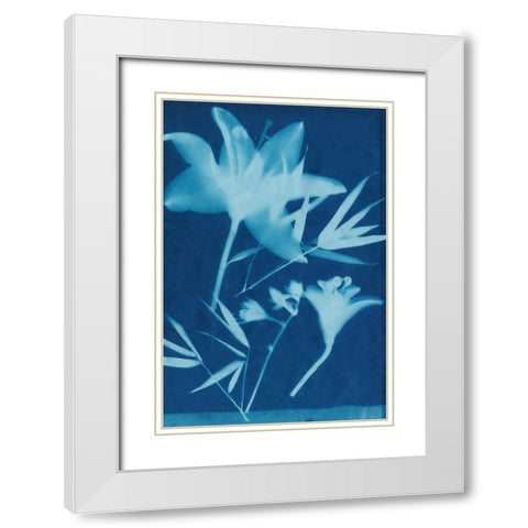 Cyanotype No.18 White Modern Wood Framed Art Print with Double Matting by Guthrie, Jenna