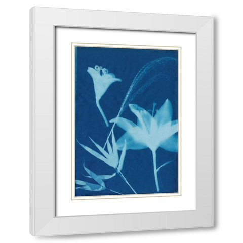 Cyanotype No.19 White Modern Wood Framed Art Print with Double Matting by Guthrie, Jenna