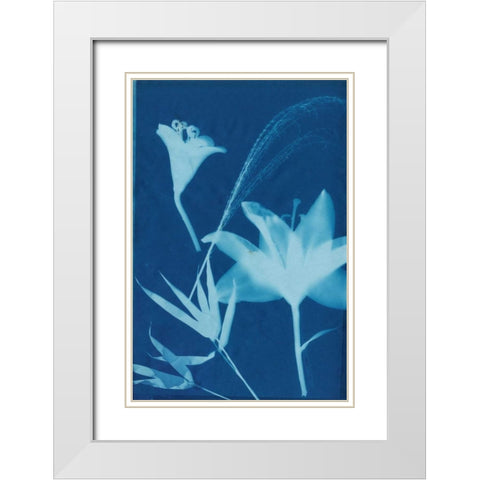 Cyanotype No.19 White Modern Wood Framed Art Print with Double Matting by Guthrie, Jenna