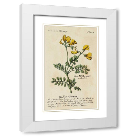 Gardeners Guide I White Modern Wood Framed Art Print with Double Matting by Unknown