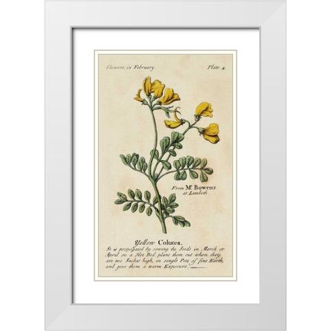 Gardeners Guide I White Modern Wood Framed Art Print with Double Matting by Unknown