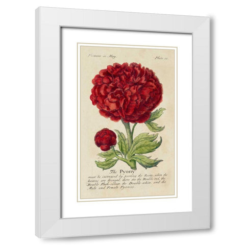 Gardeners Guide III White Modern Wood Framed Art Print with Double Matting by Unknown